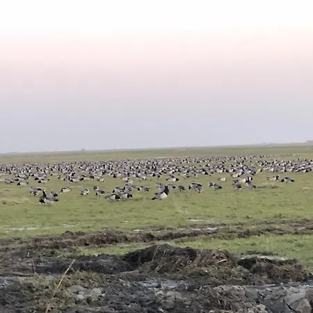 Motel Apartments 3* Tonder