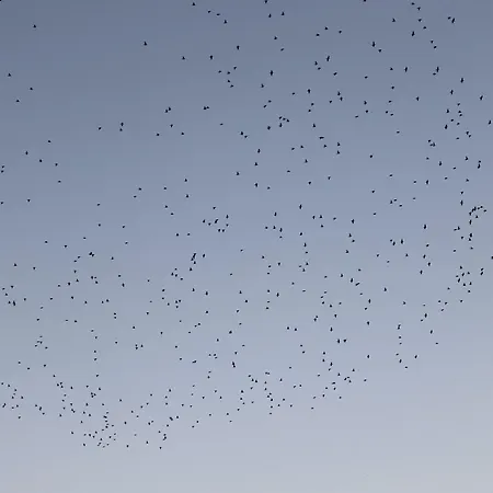 Motel Motel Apartments